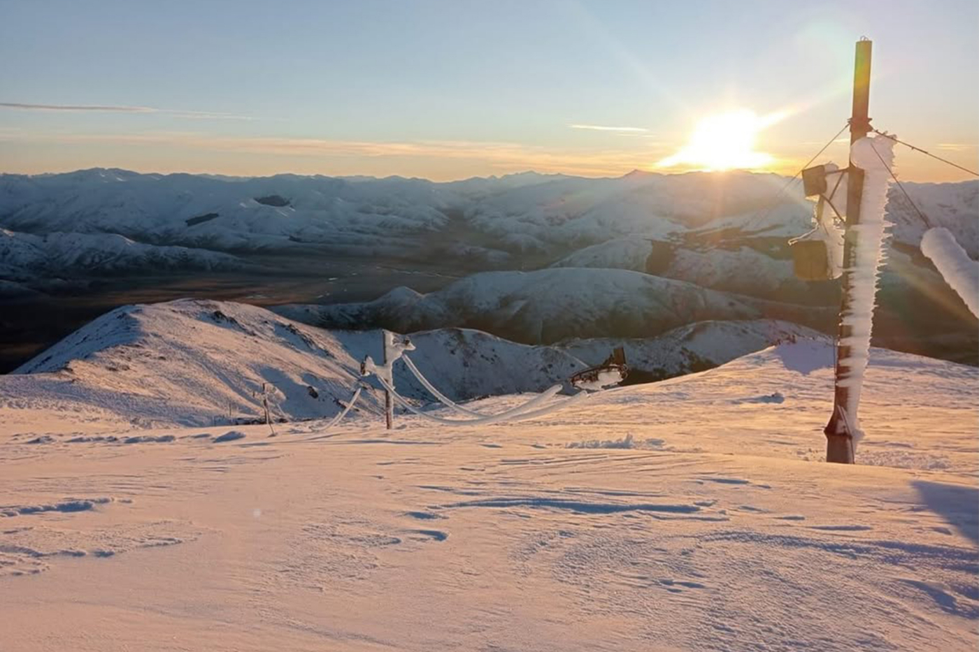 Quiver of the week